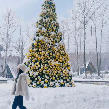 哈尔滨+漠河+北红村+北极村6日5晚跟团游