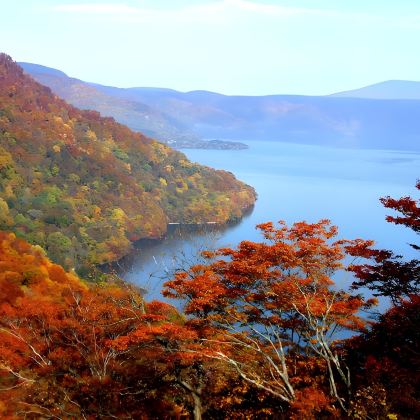 日本大阪+京都+奈良+宇治市7日6晚拼小团