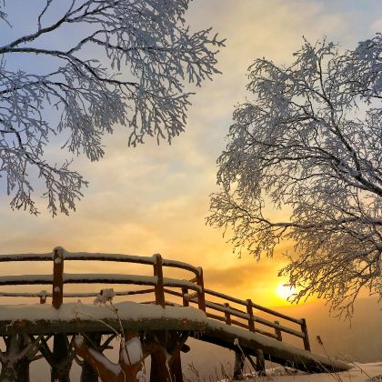 哈尔滨+雪乡+亚布力滑雪旅游度假区+布拉戈维申斯克6日5晚跟团游