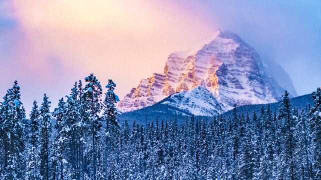 4-Day Scenic Western Canada Tour from Vancouver ·Johnston Canyon, Okanagan Lake | Yoho & Banff National Park