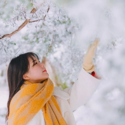 韩国济州岛4日3晚私家团