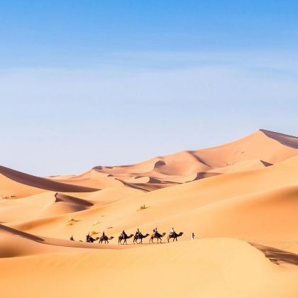 银川+中卫4日3晚私家团