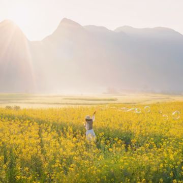 贵州贵阳+黄果树景区+织金洞+万峰林景区+马岭河峡谷景区+青岩古镇+乌蒙大草原6日5晚拼小团