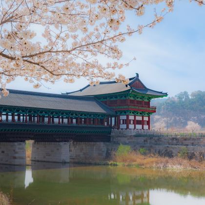 韩国首尔+济州岛7日6晚私家团