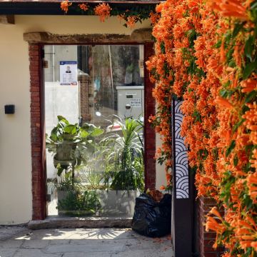 泉州泉州西街+泉州开元寺+蟳埔村+晋江五店市+洛阳桥+洛伽寺+崇武古城风景区4日3晚私家团