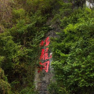 蟠龙洞+龙湾生态旅游区+罗定学宫3日2晚私家团