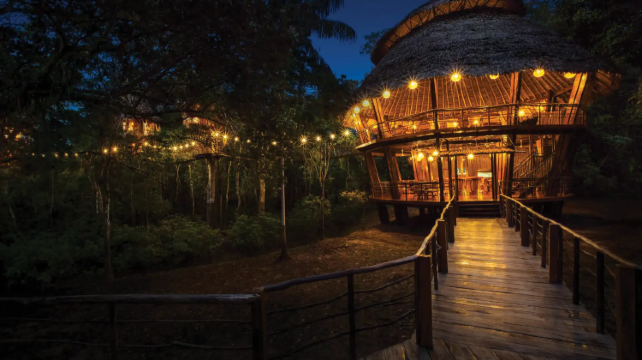 <4天>【16人英文团 · 亚马逊雨林深度玩家首选 | Treehouse Lodge全包式独立树屋】·18项雨林探险任选（观鸟日出+划船巡游+夜巡寻鳄等）+2天亚马逊核心区域深度探索