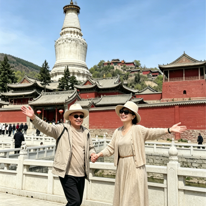 山西太原+雁门关景区+应县木塔景区+云冈石窟+悬空寺+五台山+平遥古城+山西王家大院7日6晚跟团游