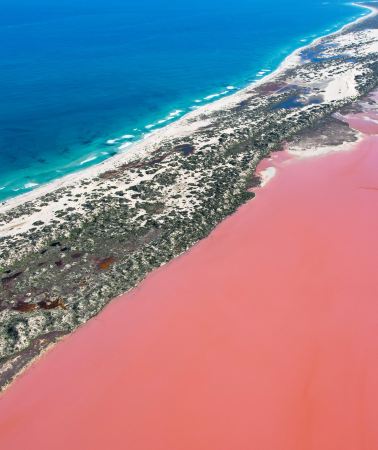 2D1N • Perth + Hutt Lagoon
