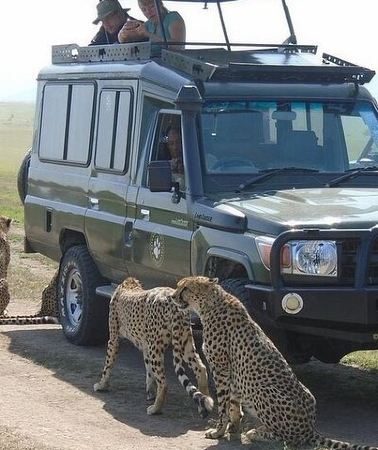 3D2N • Masai Mara 3 Day Safari | Private 4WD Jeep Tour