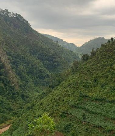 6D5N • 6 Days Rwanda Uganda Budget Wildlife Safari