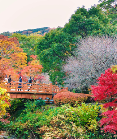 7 วัน 4 คืน • GO2NGO-TG086 NAGOYA TOKYO นาโกย่า โตเกียว ฟูจิ อาตามิ โอบาระโครังเค 7D 4N โดยสายการบินไทย [TG]