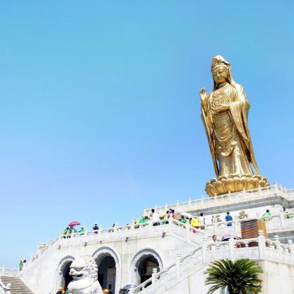 浙江普陀山2日1晚跟团游