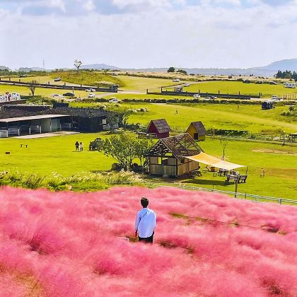 韩国济州岛4日3晚自由行