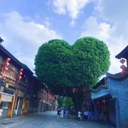 福州+广东潮汕地区+南澳岛8日7晚私家团