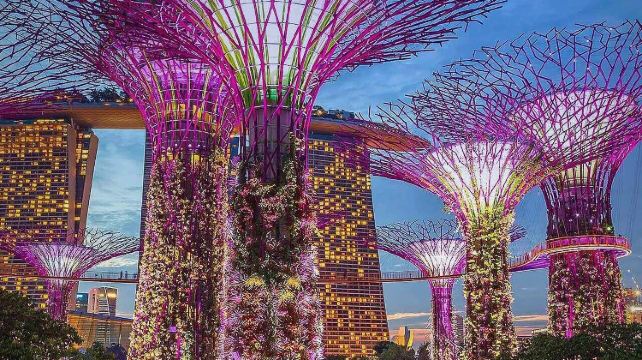 新加坡+马来西亚+斯里兰卡10日9晚·安全+省心+20年经验+定制师专属服务 + 三国小众联游+滨海堤坝+加勒要塞+鱼尾狮公园+滨海湾花园+国家清真寺+科格勒高跷渔民（可升级包含大交通）+途风四钻入住