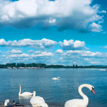 塞尔维亚+木头村+泽蒙9日8晚私家团