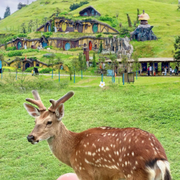 郴州+莽山五指峰景区+东江湖旅游区4日3晚私家团