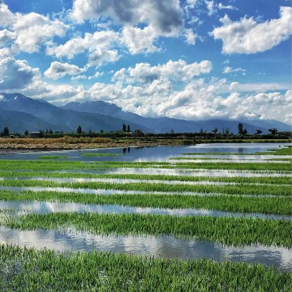 丽江+香格里拉+梅里雪山国家公园+丙中洛风景区+怒江6日5晚跟团游