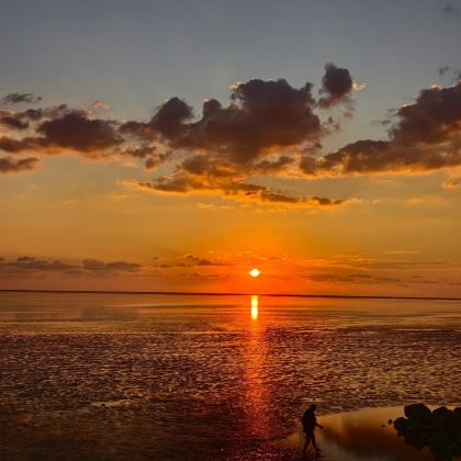 盐镇水街+丹顶鹤湿地生态旅游区+南通+南通狼山风景名胜区+淮安府署7日6晚私家团