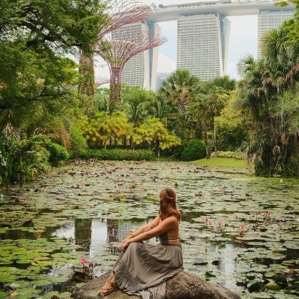 新加坡6日5晚自由行