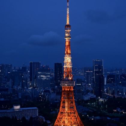 日本东京+箱根+富士山7日6晚私家团