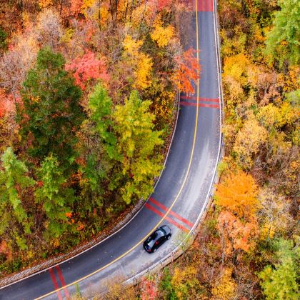 神农架+长江三峡+三峡大坝+宜昌5日4晚私家团