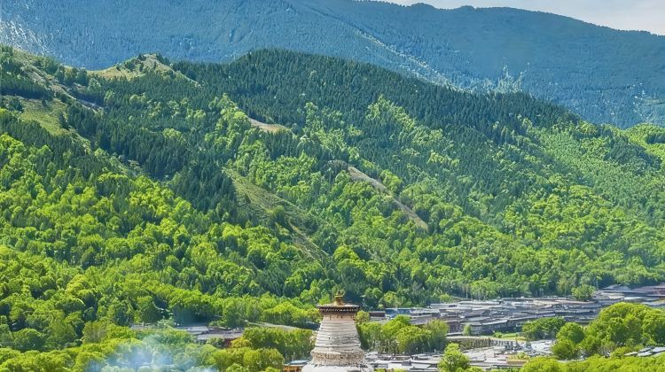 <4天>【4日3晚 · 旅行团 · 山西晋北精华全线畅游· 清凉五台· 云冈大佛· 悬空奇楼】·晋在山西 +18人纯玩团+1人成团含导+指定洲际+万豪+满10人升级保姆车