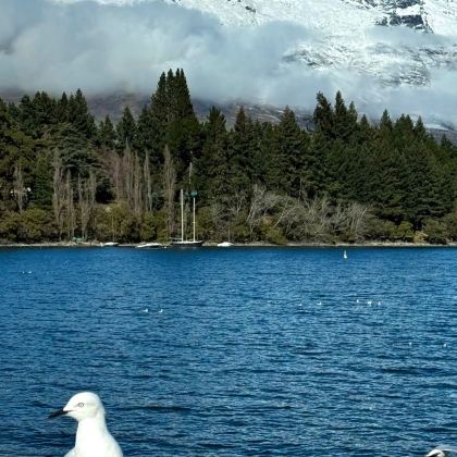 新西兰9日7晚拼小团