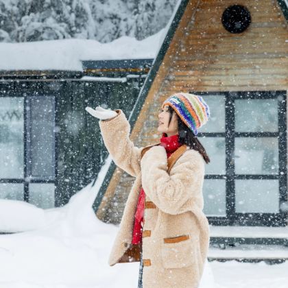 哈尔滨+漠河+北极村7日6晚跟团游