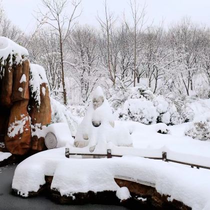 河南信阳3日2晚私家团