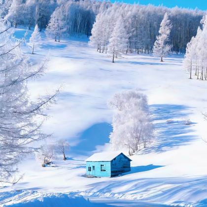 呼伦贝尔+额尔古纳+室韦+满洲里+阿尔山8日7晚拼小团