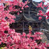 江西庐山市3日2晚私家团
