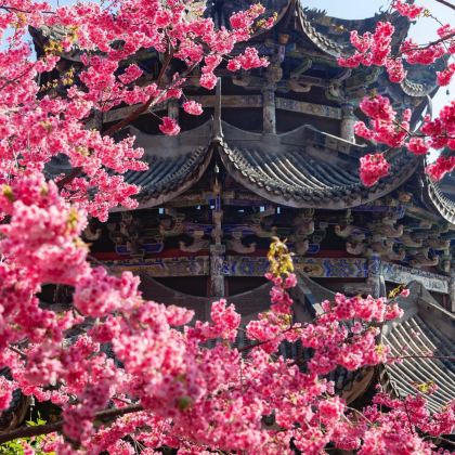 江西庐山4日3晚私家团