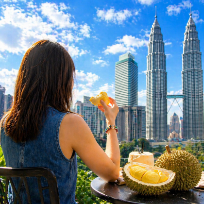新加坡+吉隆坡+马六甲6日5晚私家团