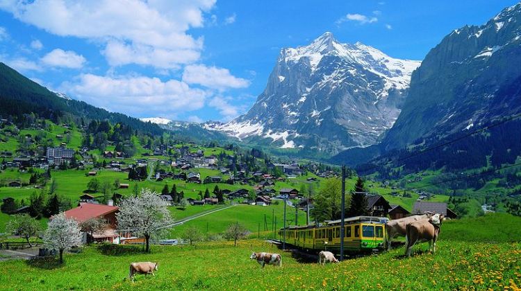 2-Day Jewels of the Alps Tour·Eiger Express Cable Car, Cogwheel Train, Jungfraujoch - Top of Europe