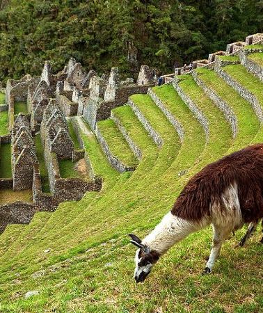 2D1N • 2 Day - Short Inca Trail to Machu Picchu - Group Service