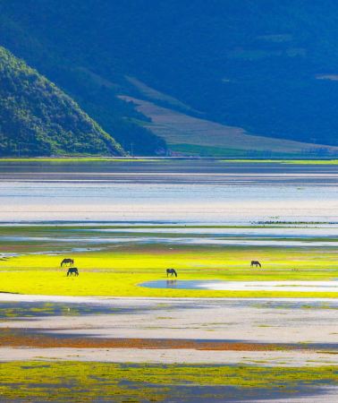 8D7N • 8-Day Kunming, Dali, Lijiang & Shangri-La Small Group Tour