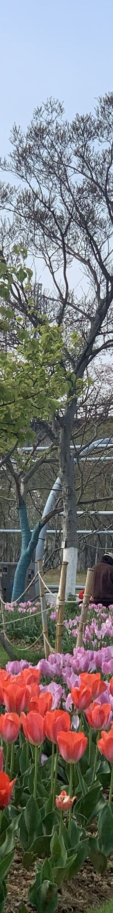 宁波植物园-宁波