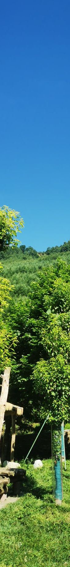 卧龙中华大熊猫苑神树坪基地-汶川