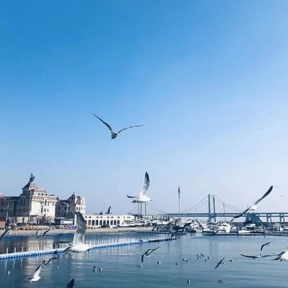 大连+沈阳+丹东+长白山+延吉+镜泊湖风景区+哈尔滨11日10晚跟团游