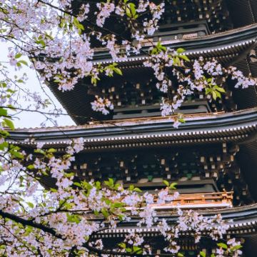 武汉+黄鹤楼3日2晚自由行