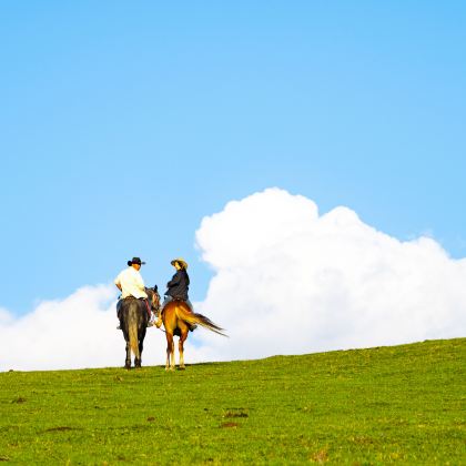 新疆乌鲁木齐+北疆+喀纳斯+伊犁+那拉提旅游风景区+赛里木湖12日11晚私家团