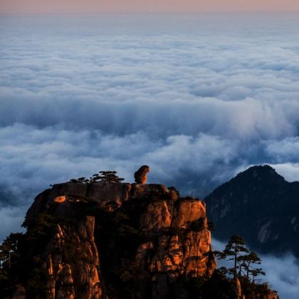 上海+乌镇+绍兴+杭州+千岛湖+徽州古城+黄山风景区11日10晚私家团