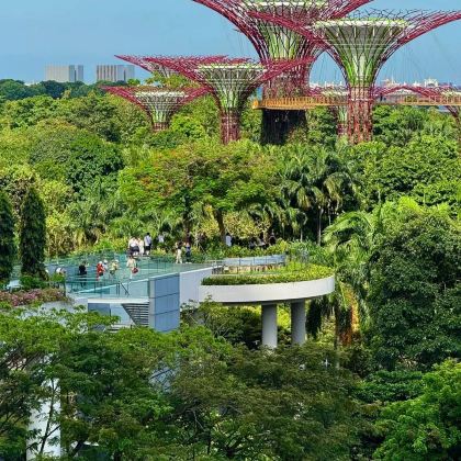 新加坡+丽贝岛6日5晚私家团