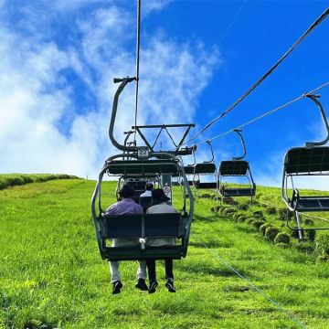 日本东京+河口湖+箱根8日7晚私家团