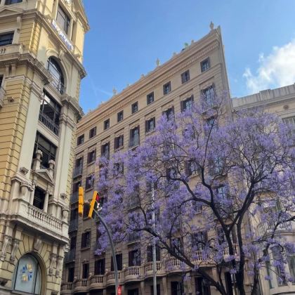 法国+西班牙+葡萄牙16日15晚私家团