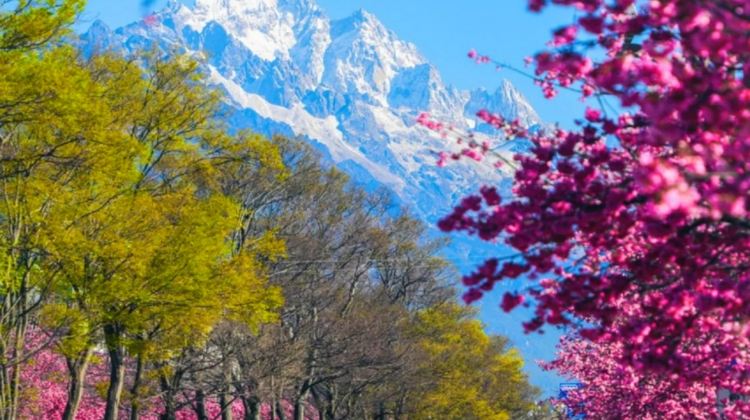 8D7N · Group Tours · 50 Percent Discount+Upgrade: 2+1 VIP Coach for Kunming+Dali+Lijiang+ Dali Sea View Room & Erhai Lake Cruise & Travel Photography+Shangri-La