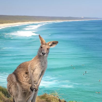 澳大利亚珀斯7日6晚私家团