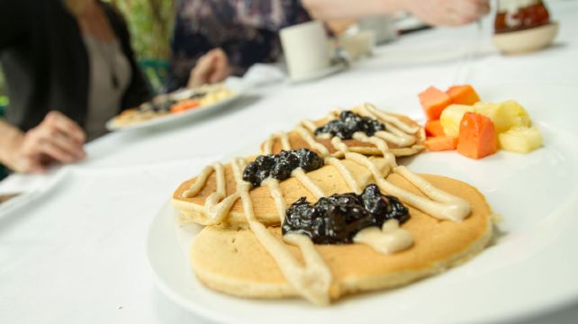 22-Day Mayan Adventure Tour from Playa del Carmen·Mexico, Belize, Guatemala, Palenque, Antigua, Flores | Max 16 Guests